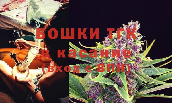ГАЛЛЮЦИНОГЕННЫЕ ГРИБЫ Вязьма