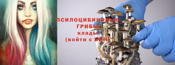 ГАЛЛЮЦИНОГЕННЫЕ ГРИБЫ Вязьма