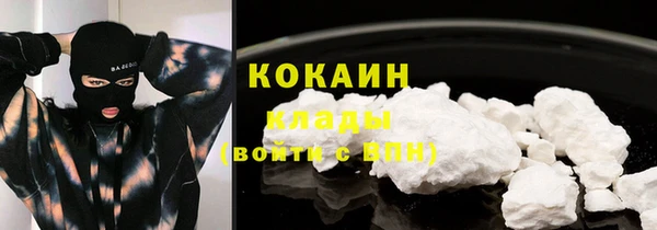 ГАЛЛЮЦИНОГЕННЫЕ ГРИБЫ Вязьма