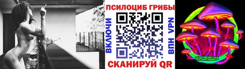 сколько стоит Изобильный Галлюциногенные грибы мицелий